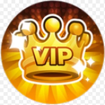 VIP Status